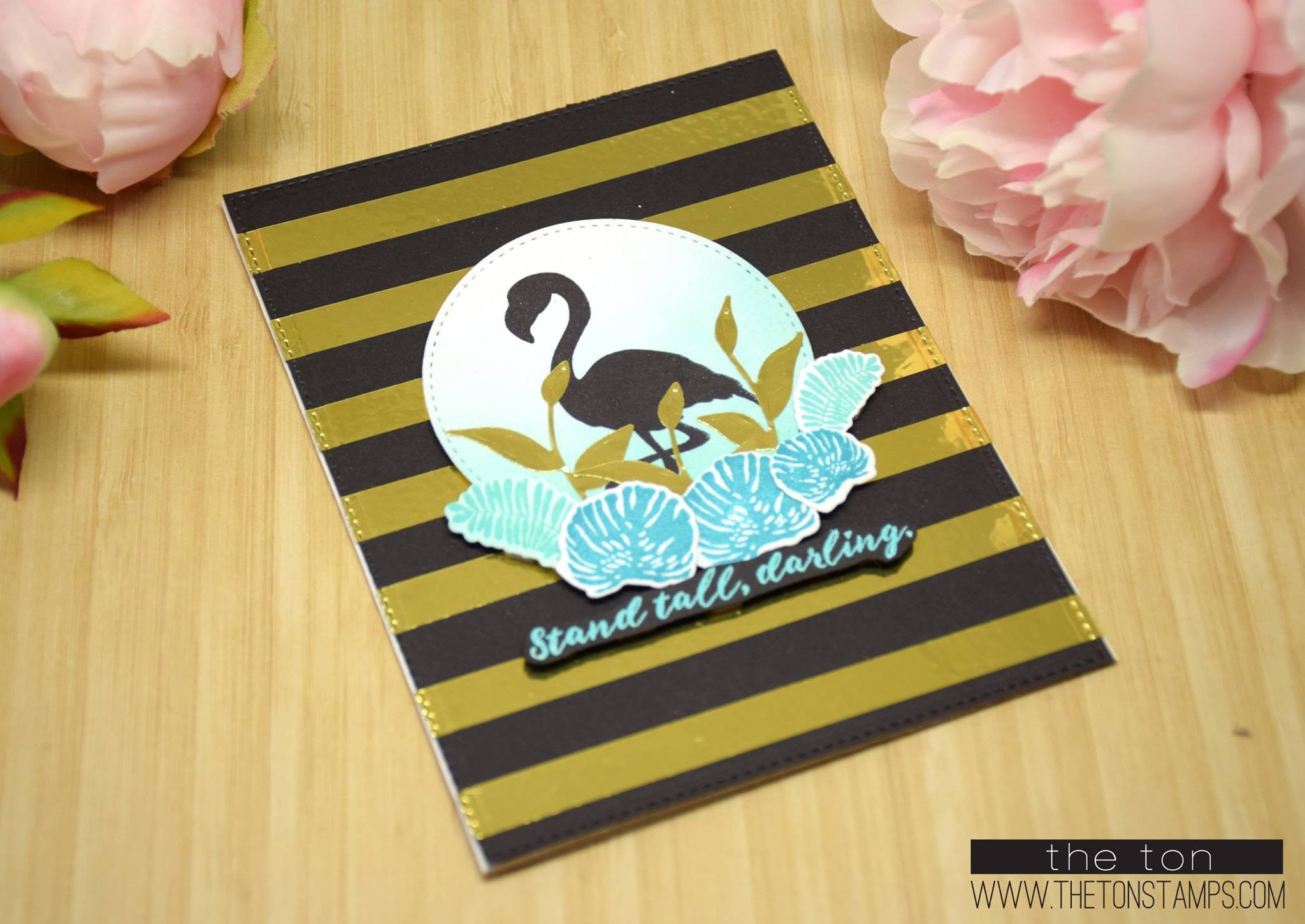 Darling Flamingos
