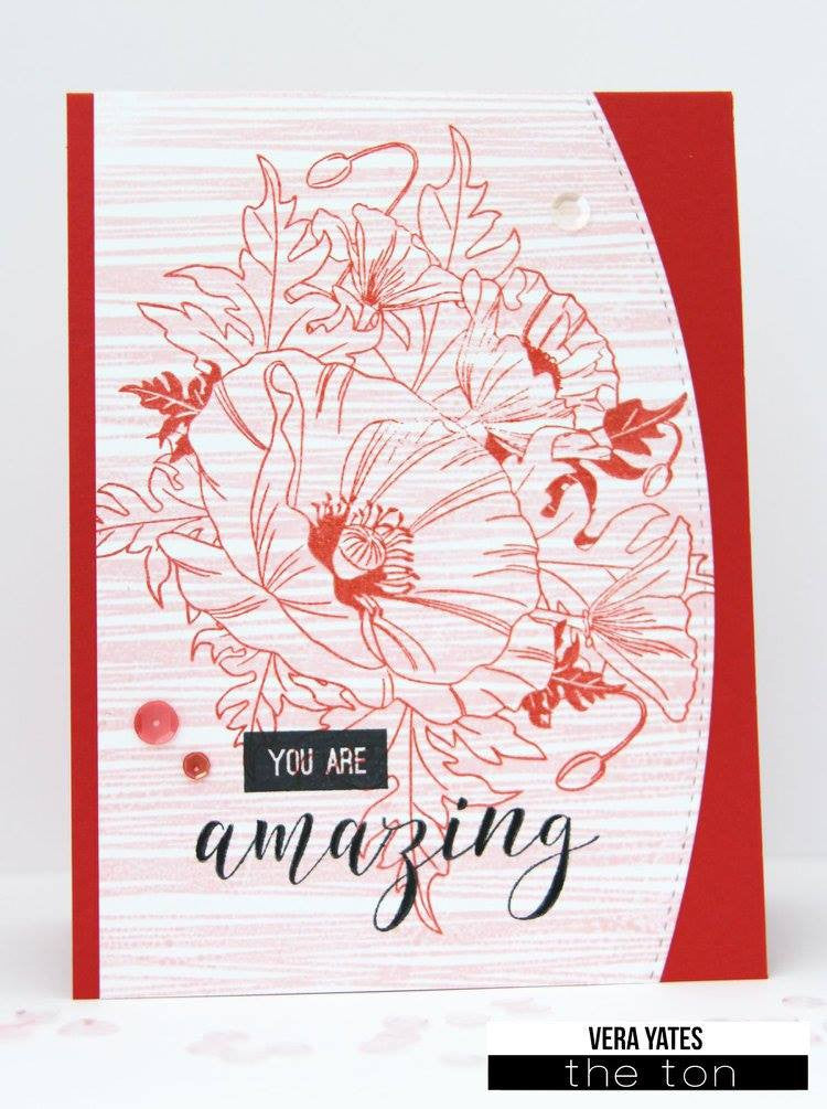 Thoughtful Poppies