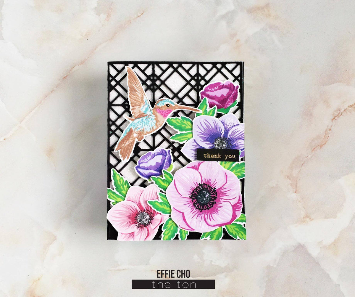 Couture Color - Amethyst Collection