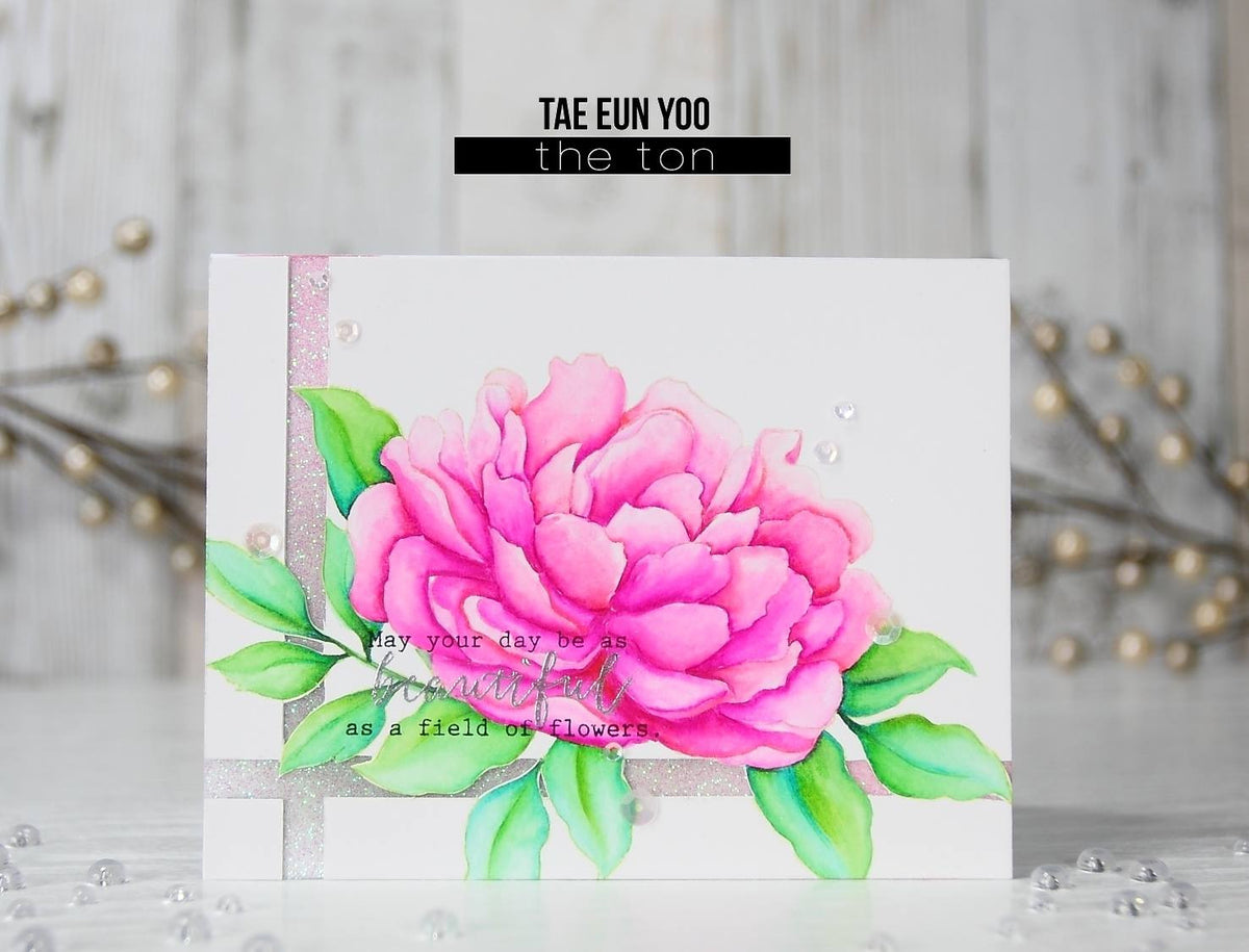 Large Peony 4