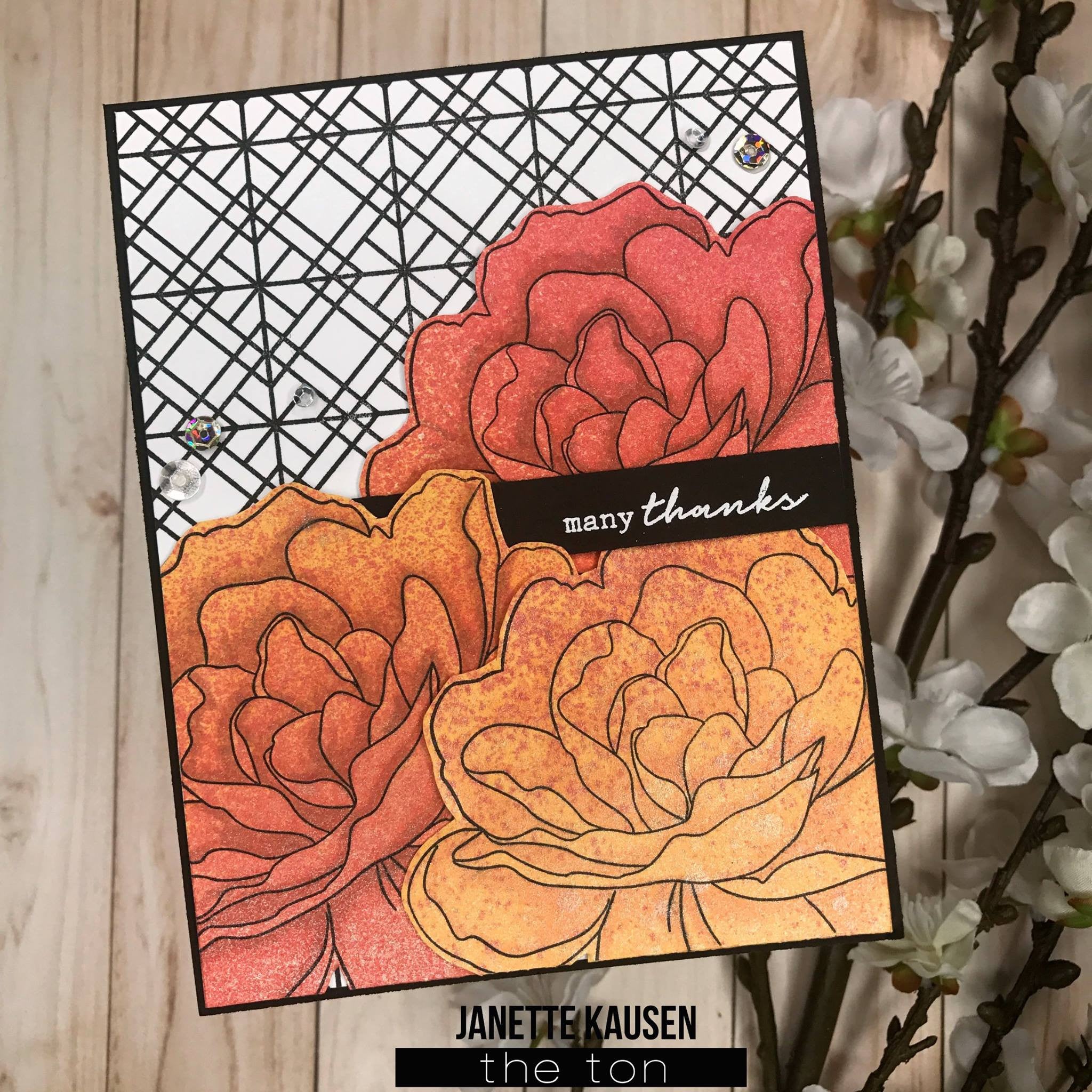 Geometric Lattice Cling Background