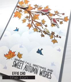 Autumn Wishes