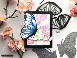 Butterfly Wings - Morpho