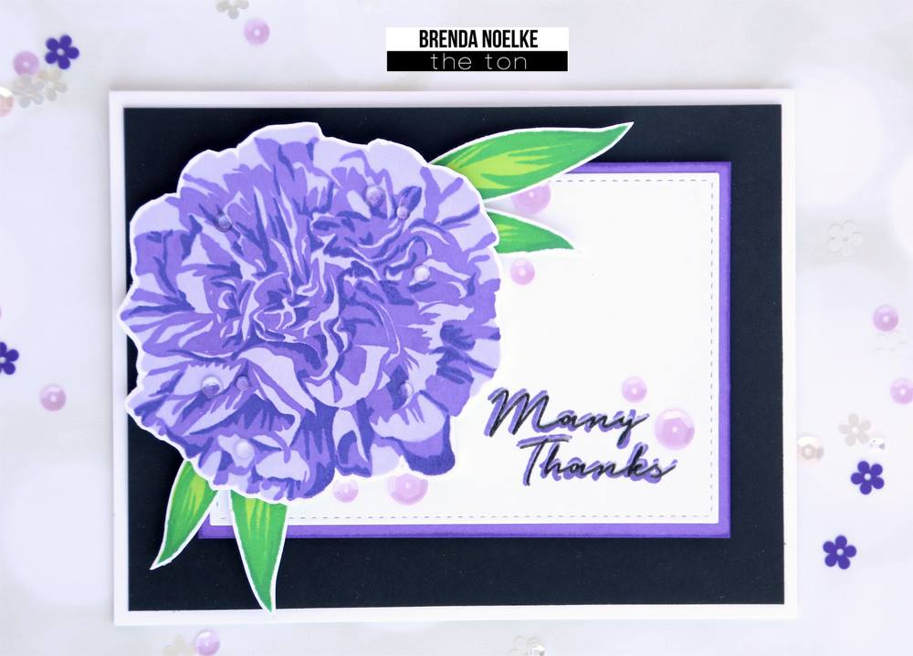 Large Florals: Carnation