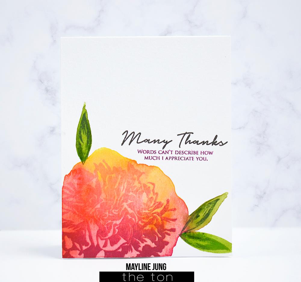 Large Florals: Carnation