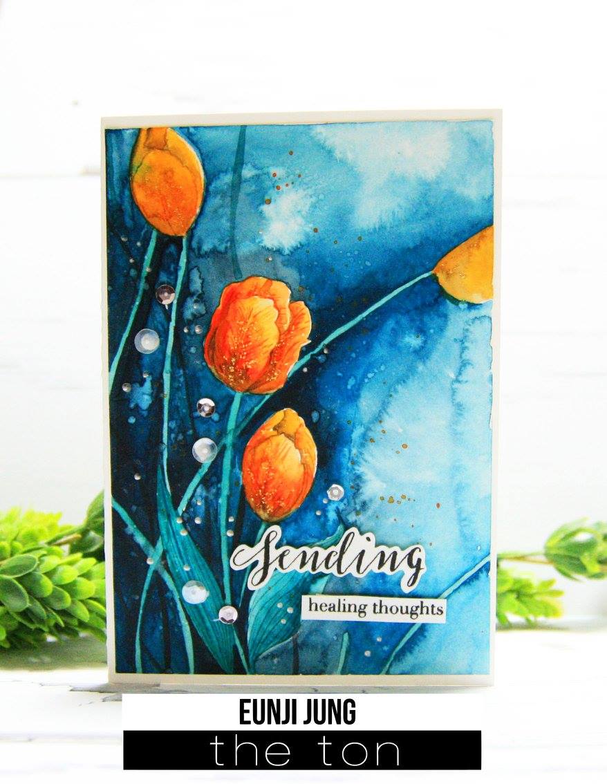 Loose Tulips