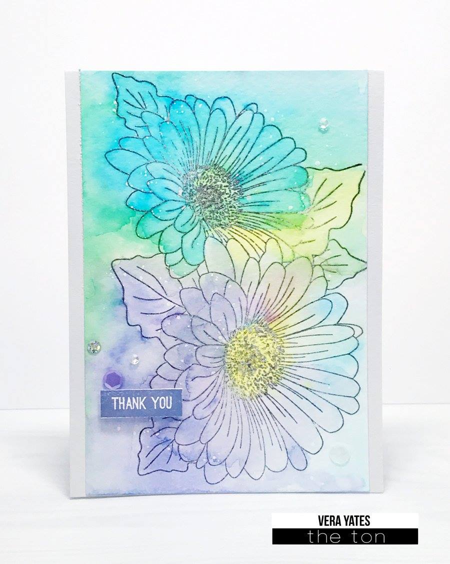 Daisy Duet