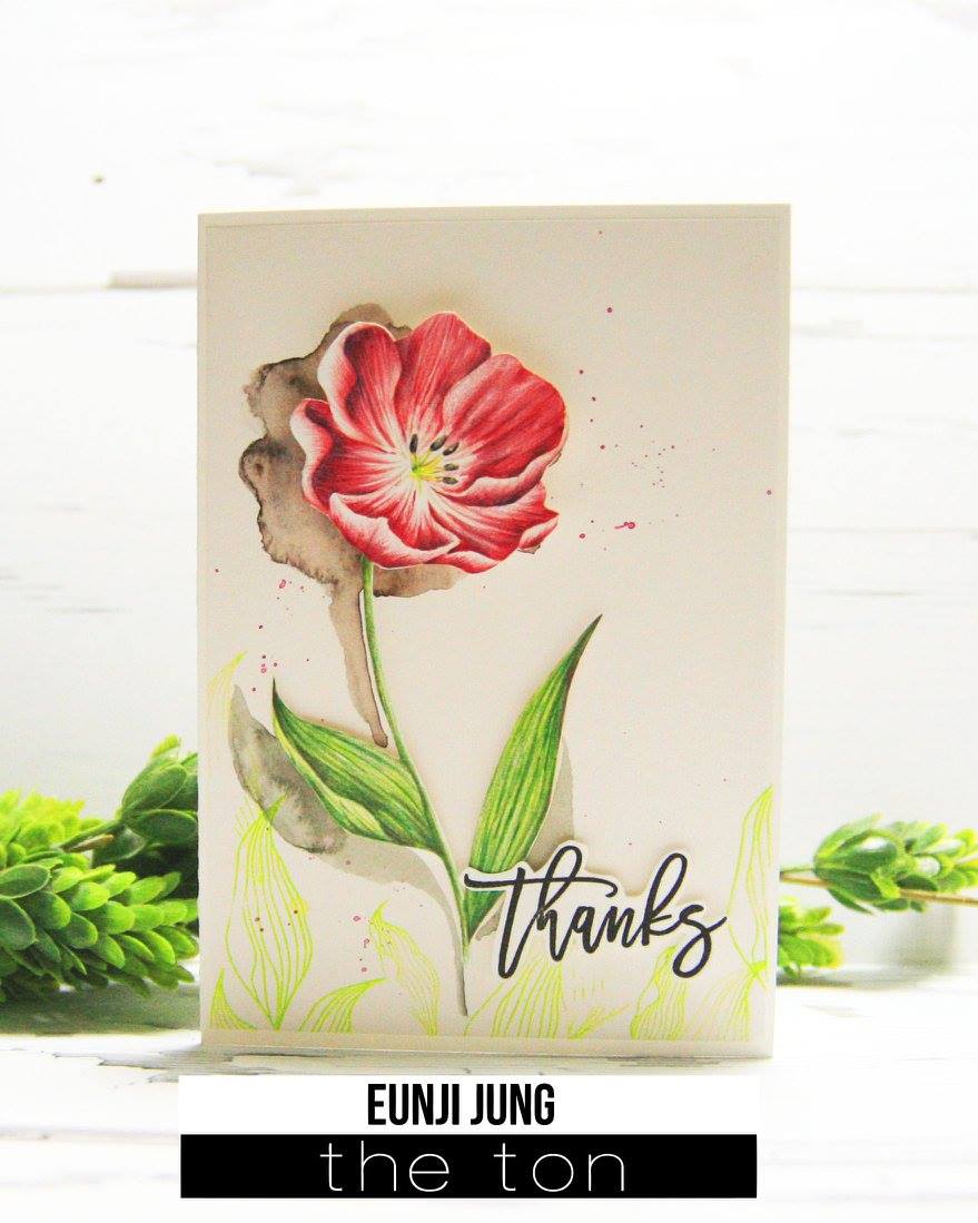 Loose Tulips