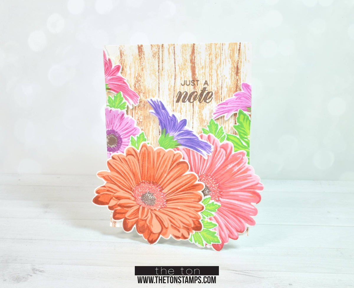 Large Florals: Daisy