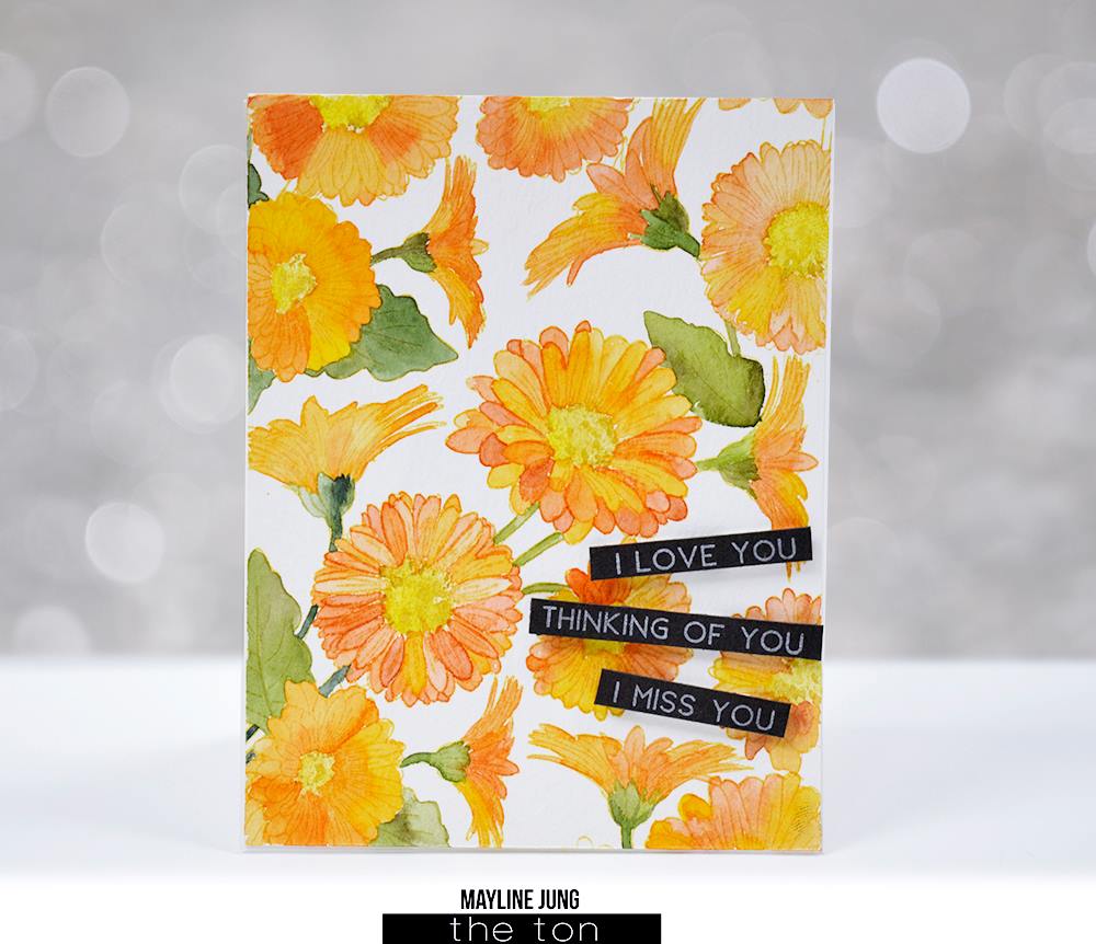 Coming Up Daisies