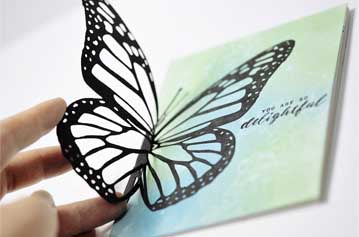 Butterfly Wings - Monarch