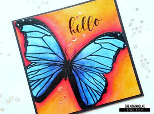 Butterfly Wings - Morpho