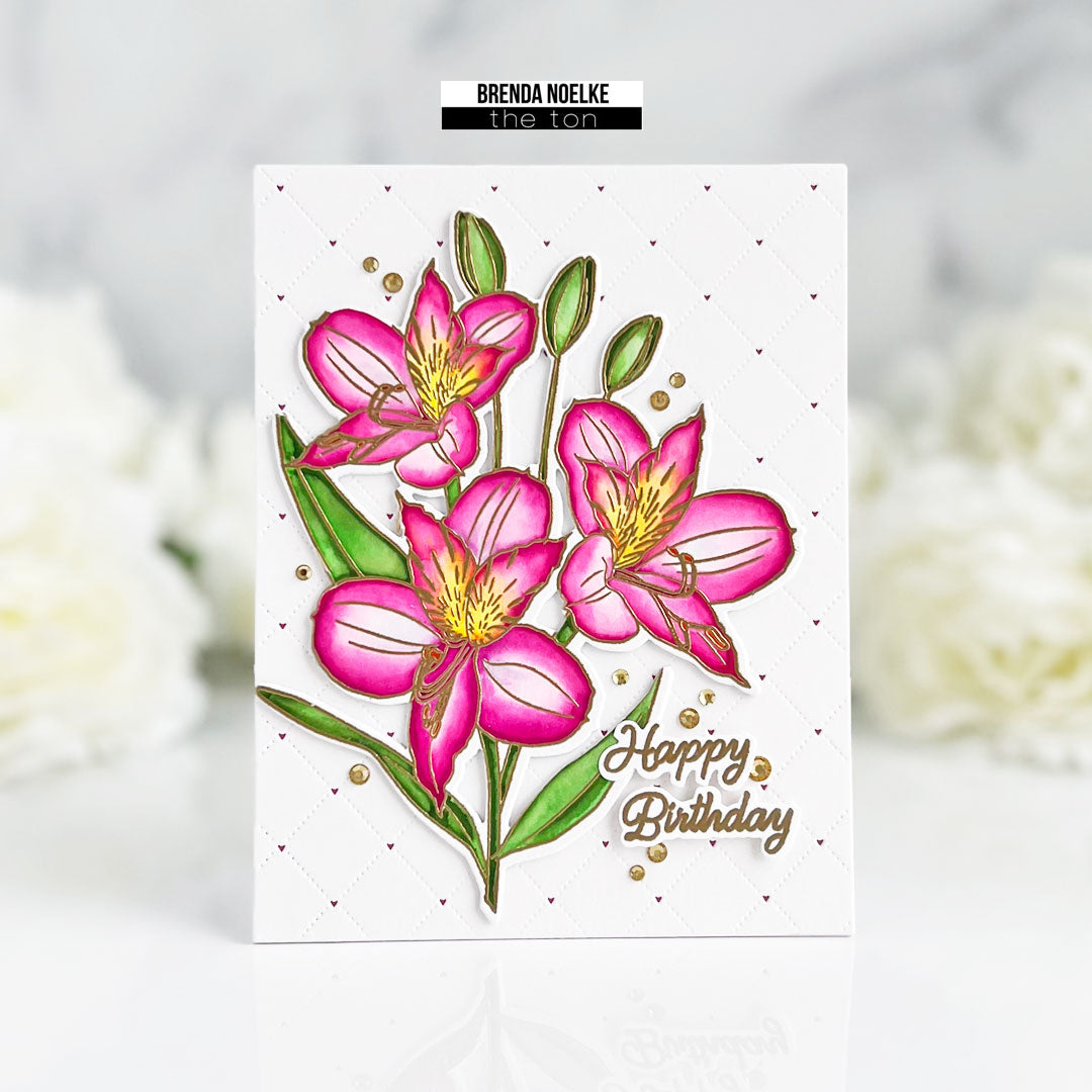 Coming Up Peruvian Lilies