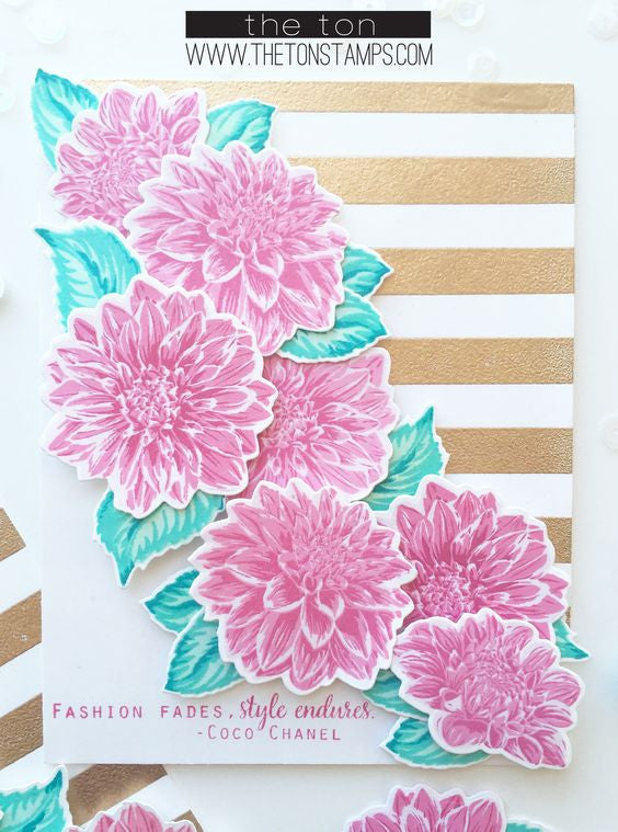 Fresh Cut Dahlias