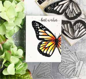 Butterfly Wings - Monarch