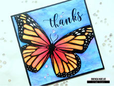 Butterfly Wings - Monarch
