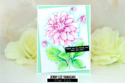 Coming Up Dahlias