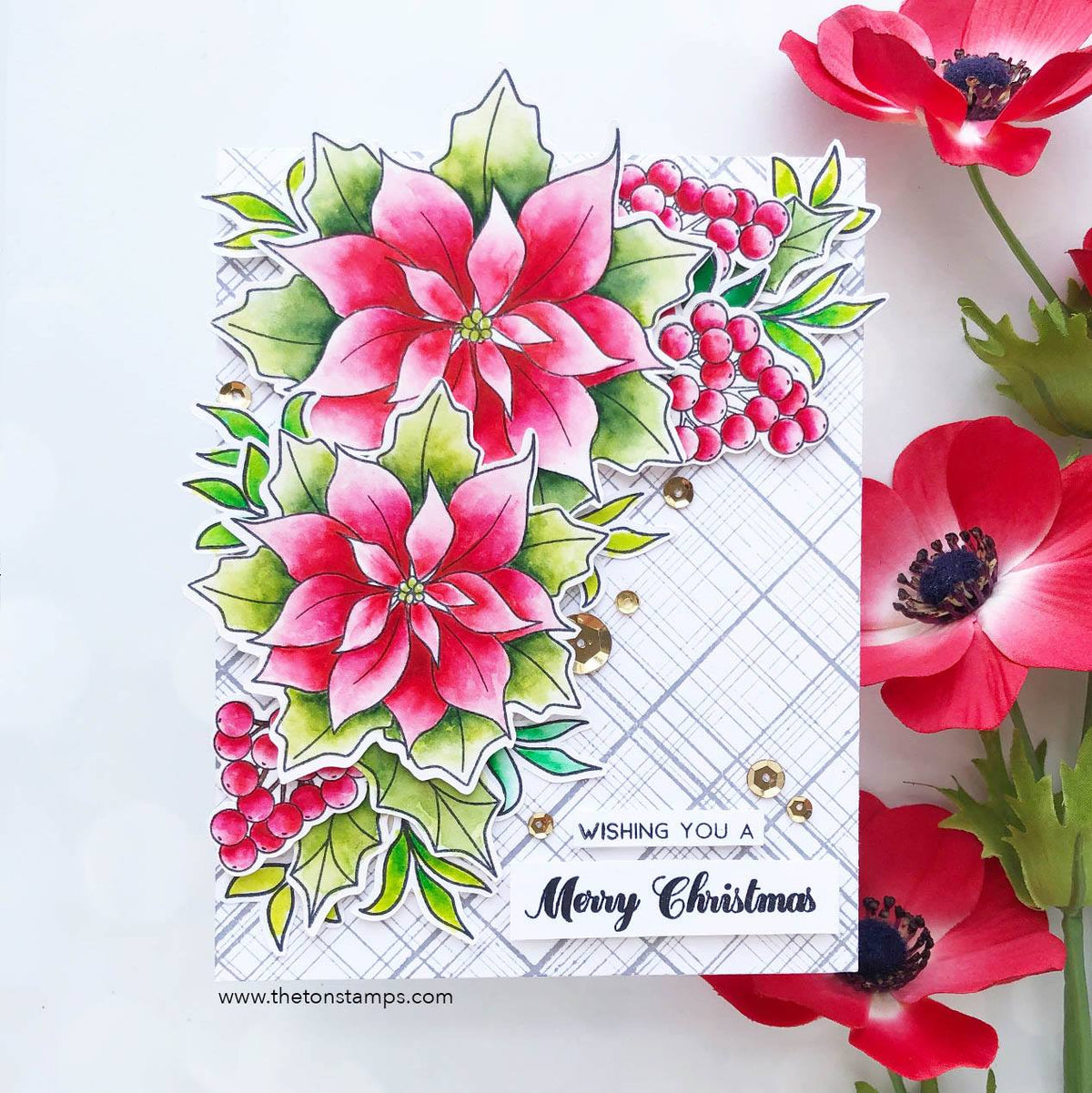 Loose Poinsettias