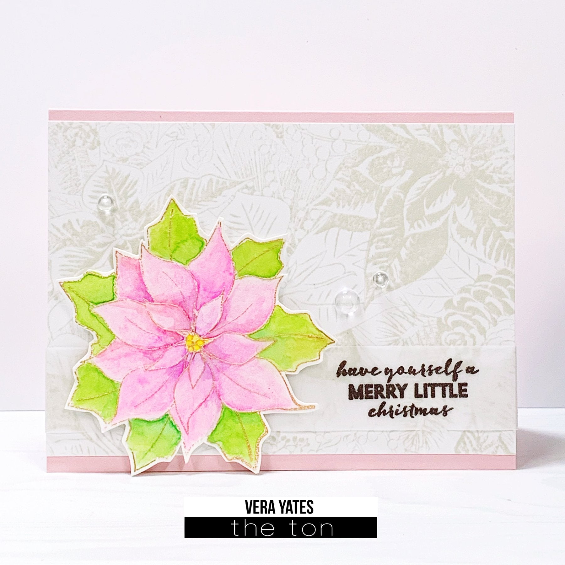Poinsettia Garden Cling Background