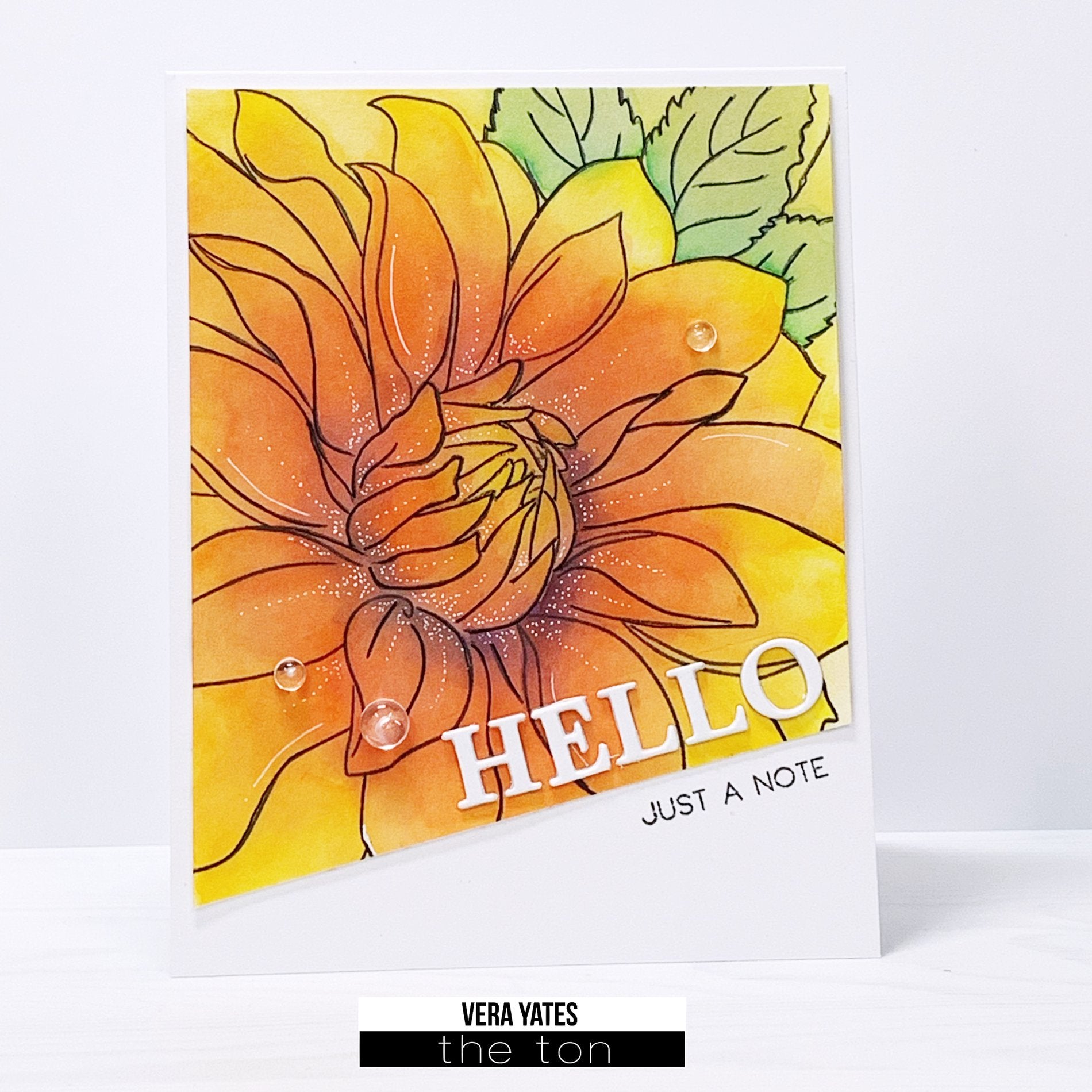 Dahlia Close Up 2