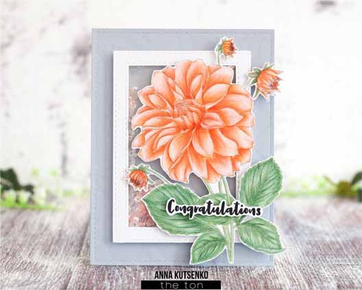 Coming Up Dahlias