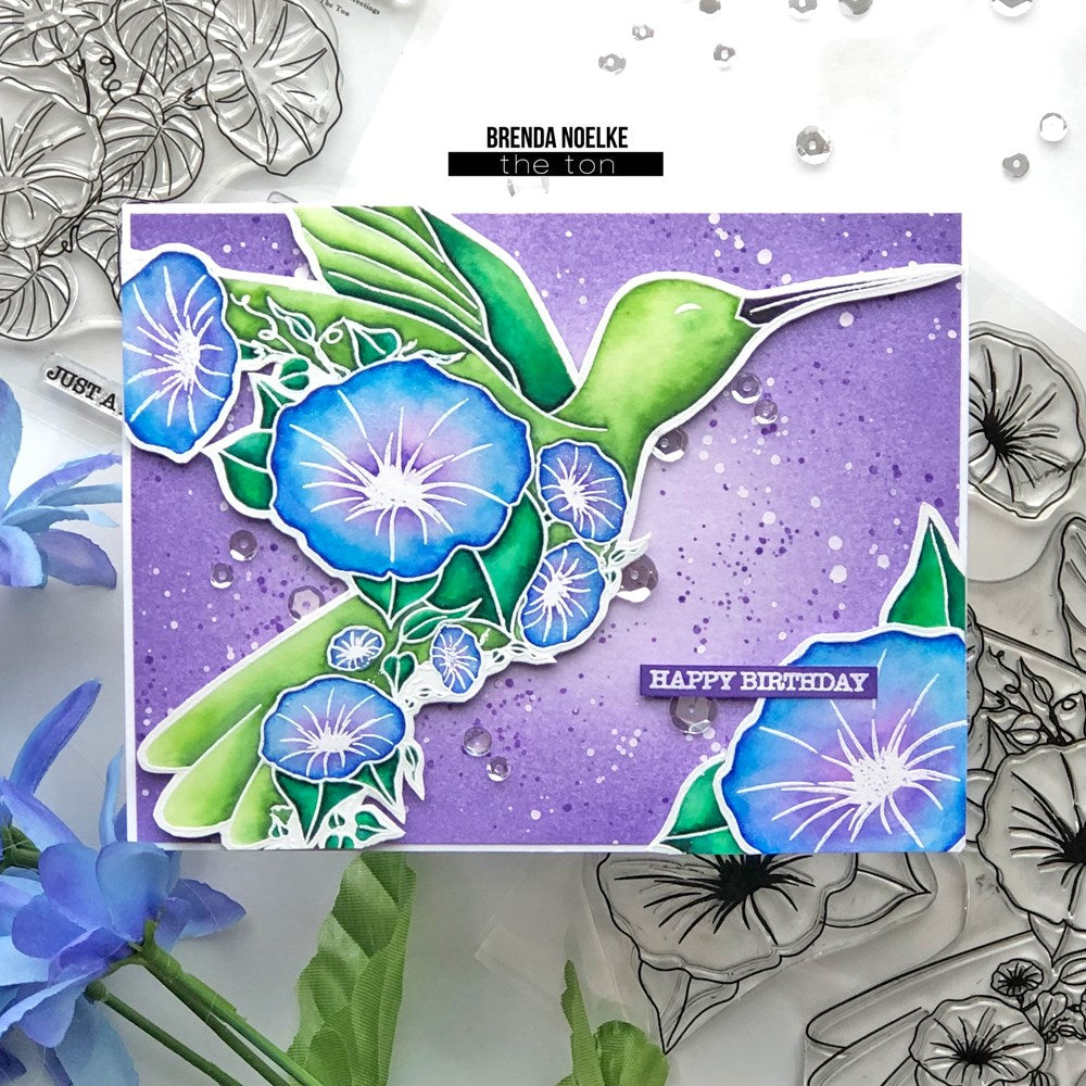 Transformation Hummingbird