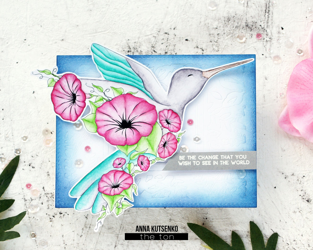 Transformation Hummingbird