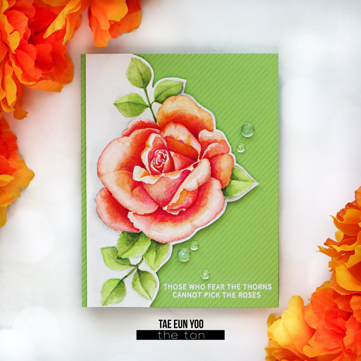 Story Rose