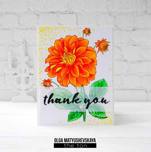 Coming Up Dahlias