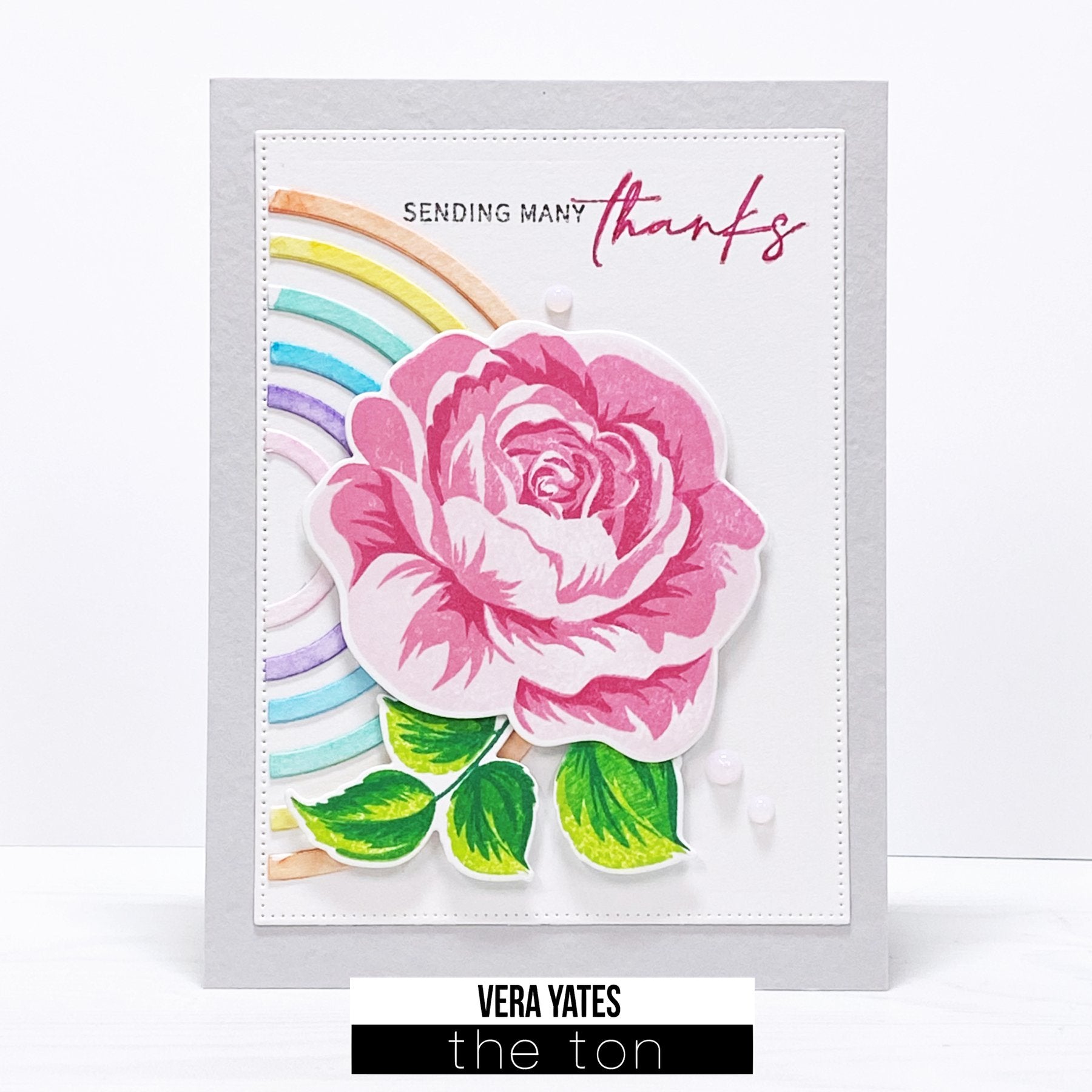 Large Florals: Rose