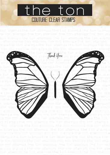 Butterfly Wings - Morpho