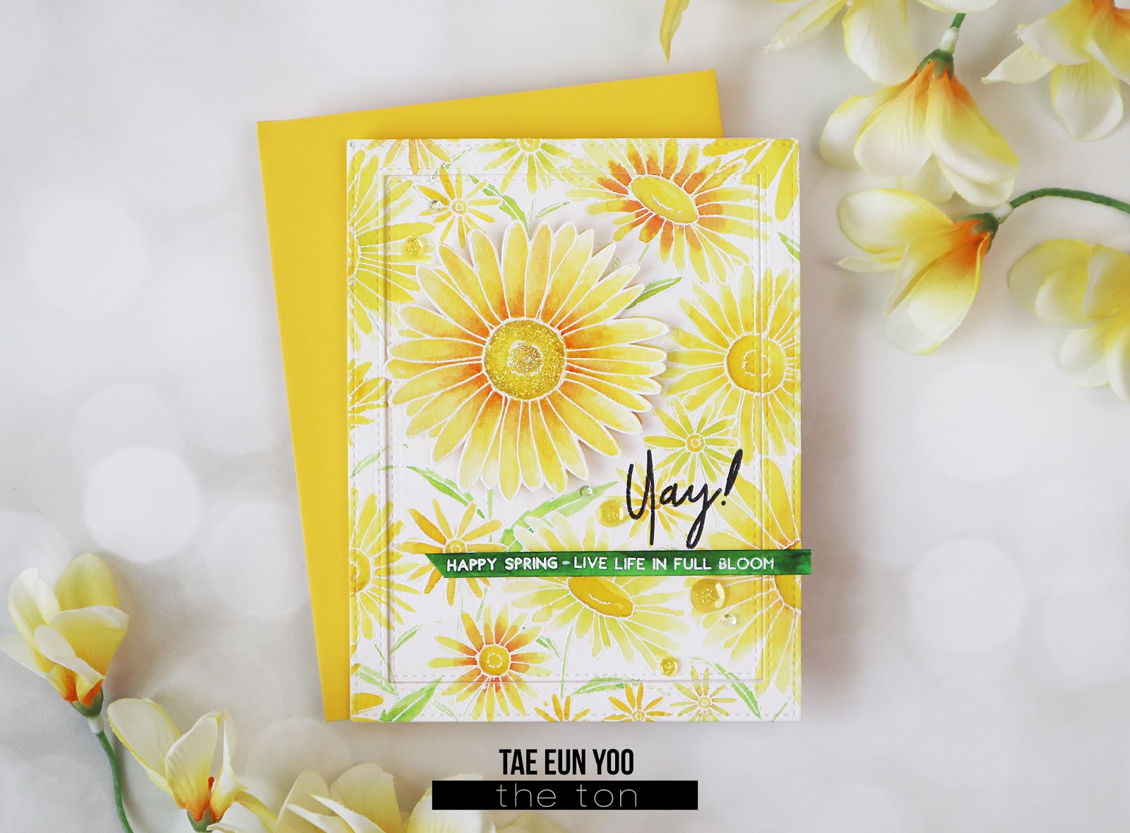 Daisy Fields