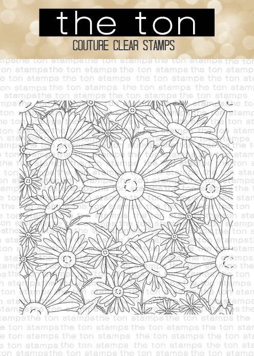 Daisy Fields