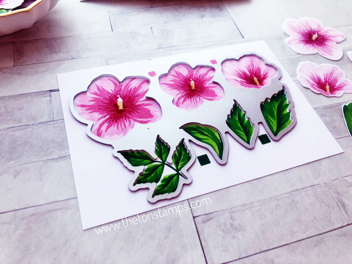 Rose of Sharon