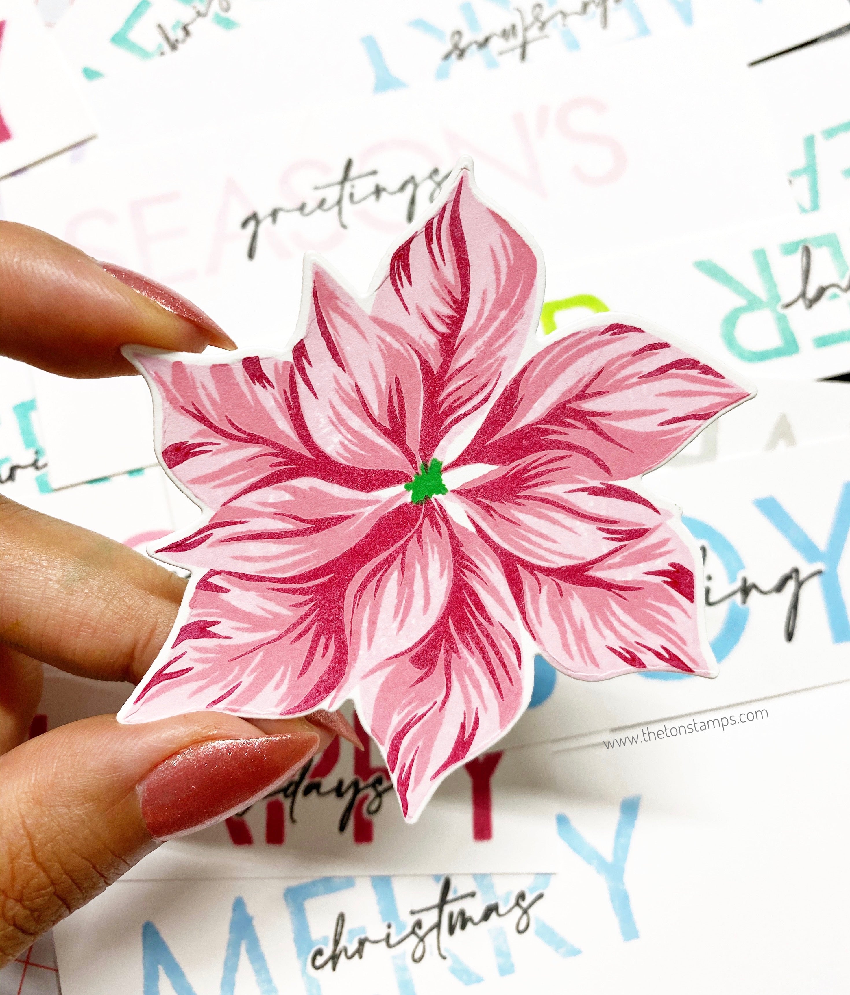 Poinsettia Wishes