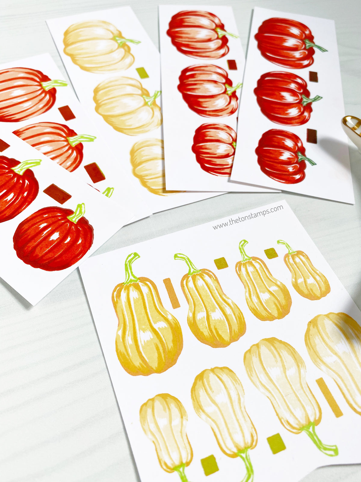 Butternut Squash