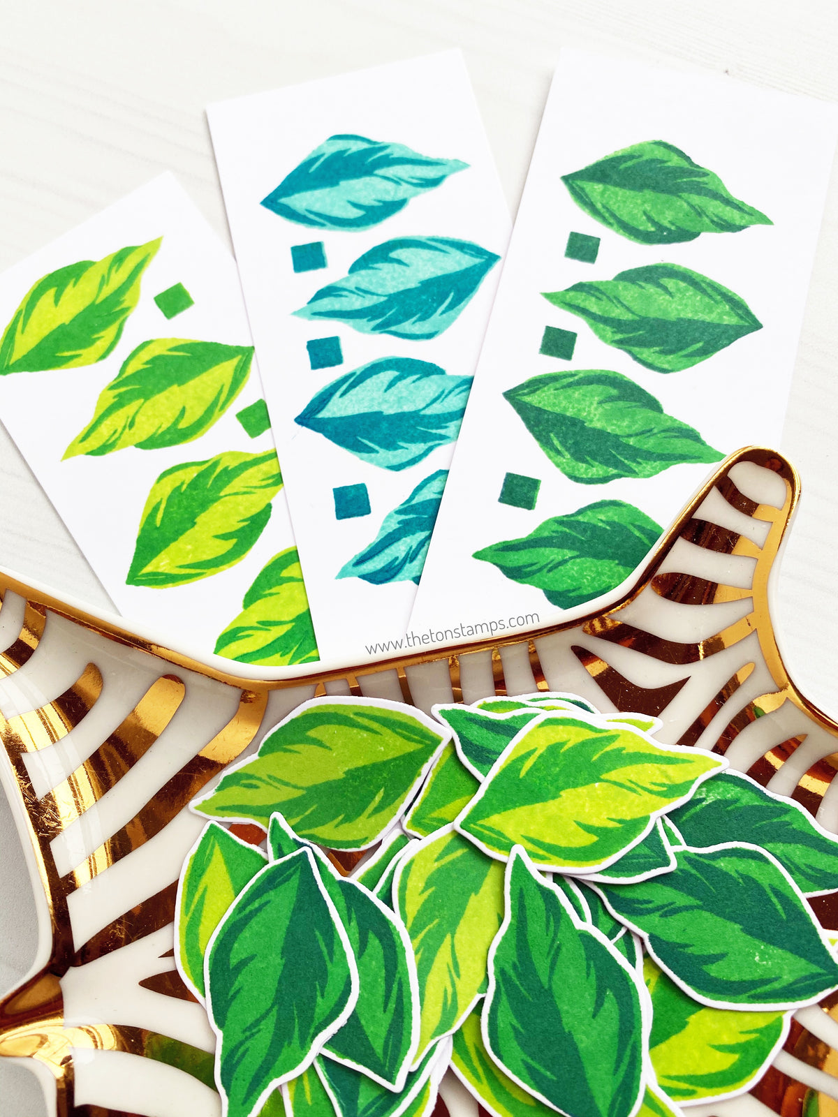 Leaves