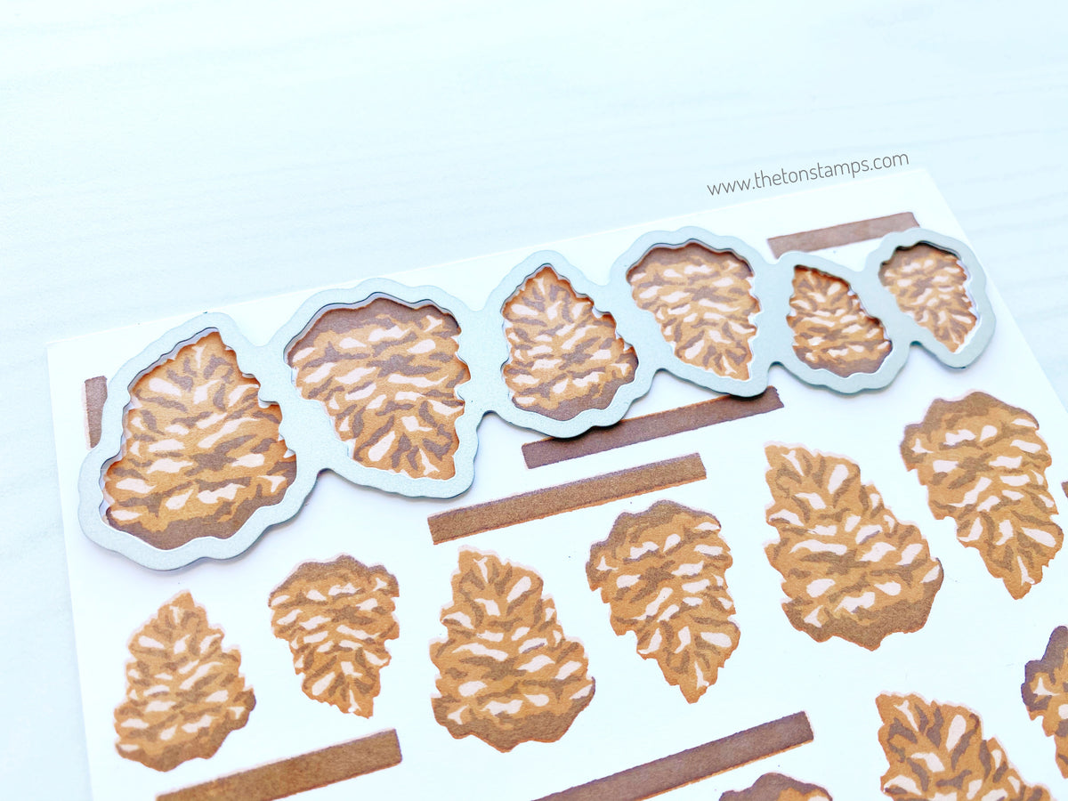 Pine Cones