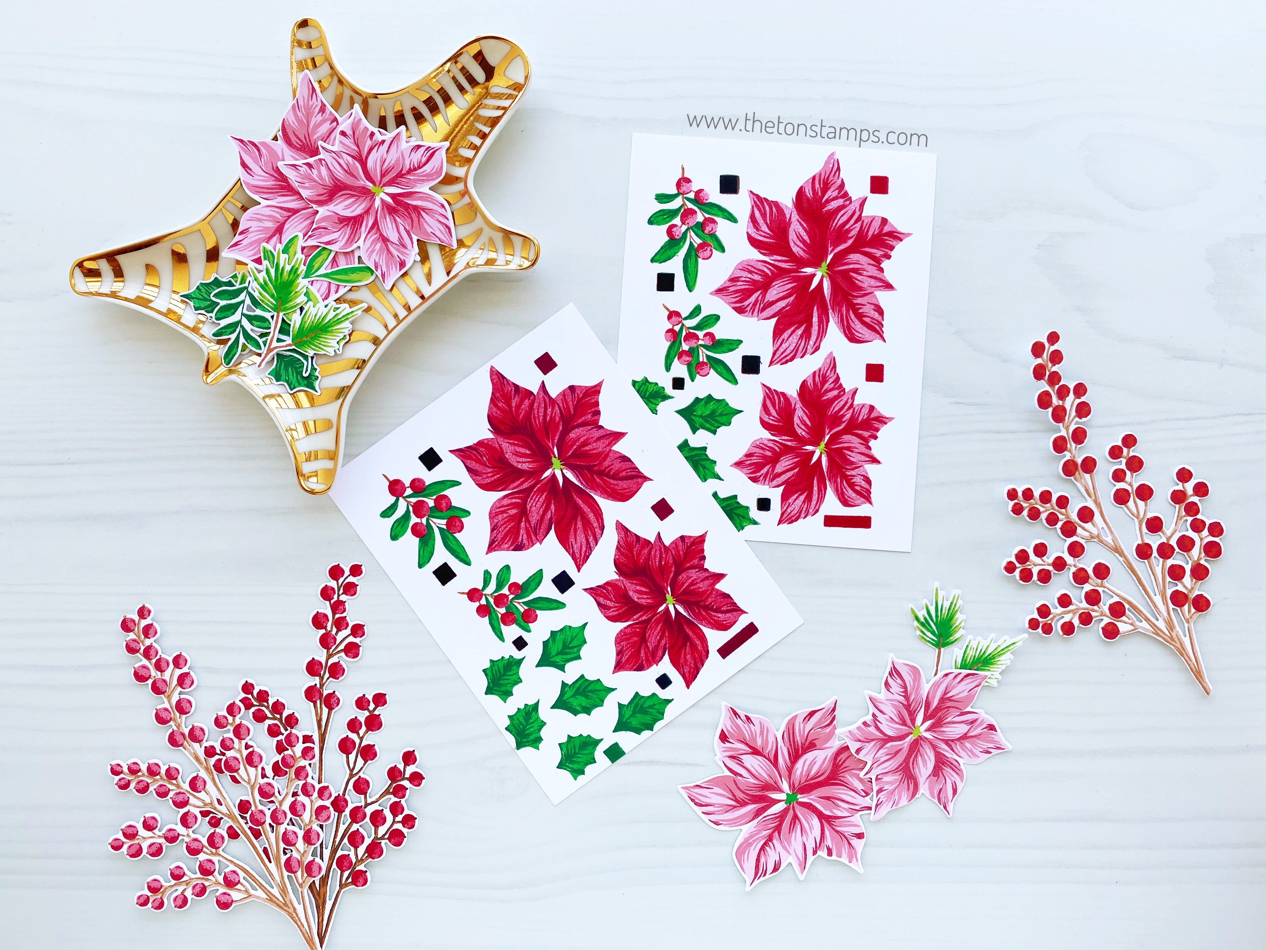 Poinsettia Wishes
