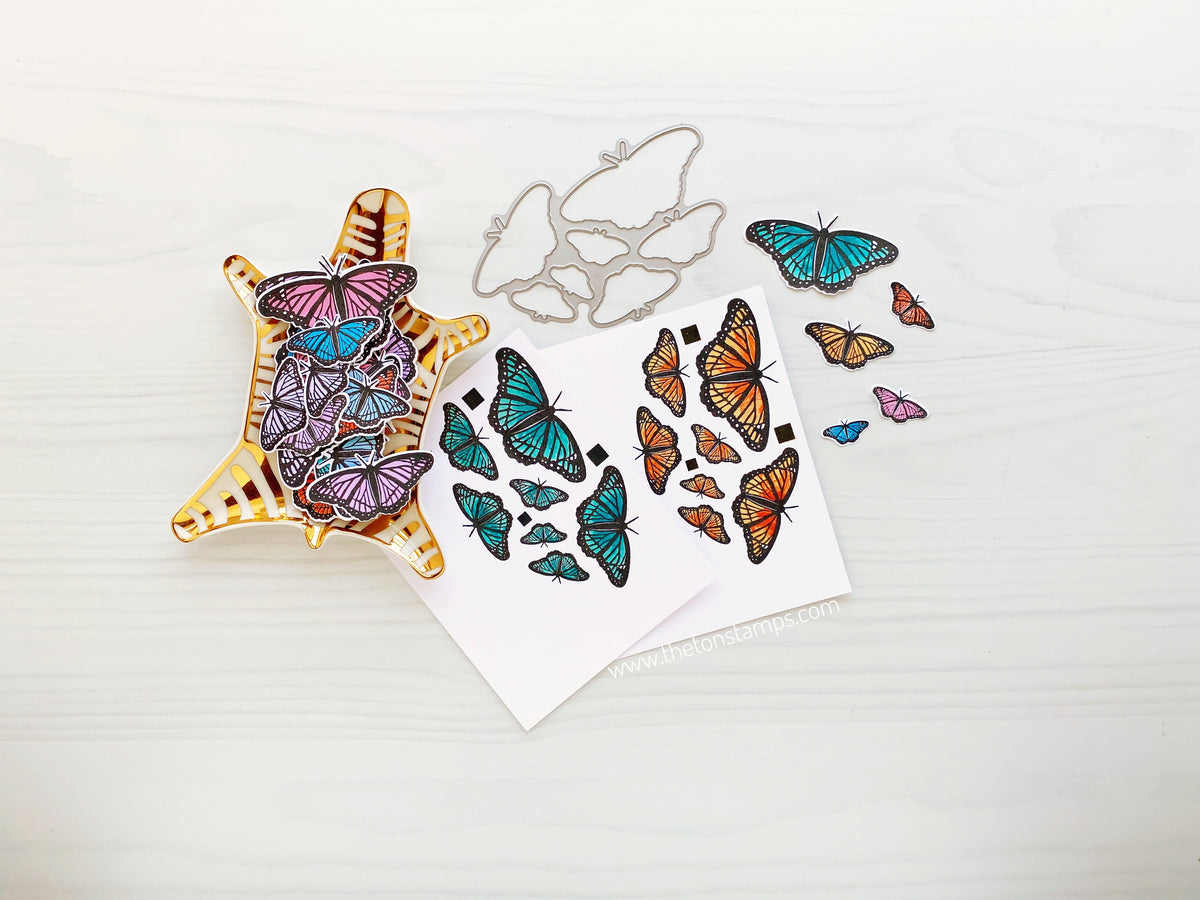 Kaleidoscope Butterflies