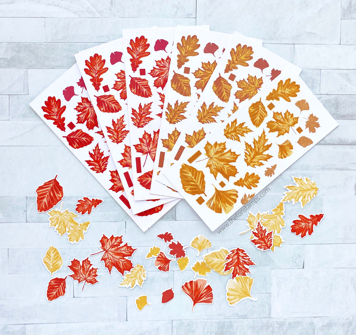 Grouped Autumn Foliage