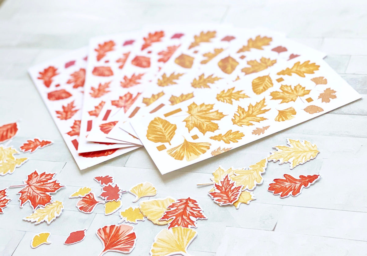 Grouped Autumn Foliage