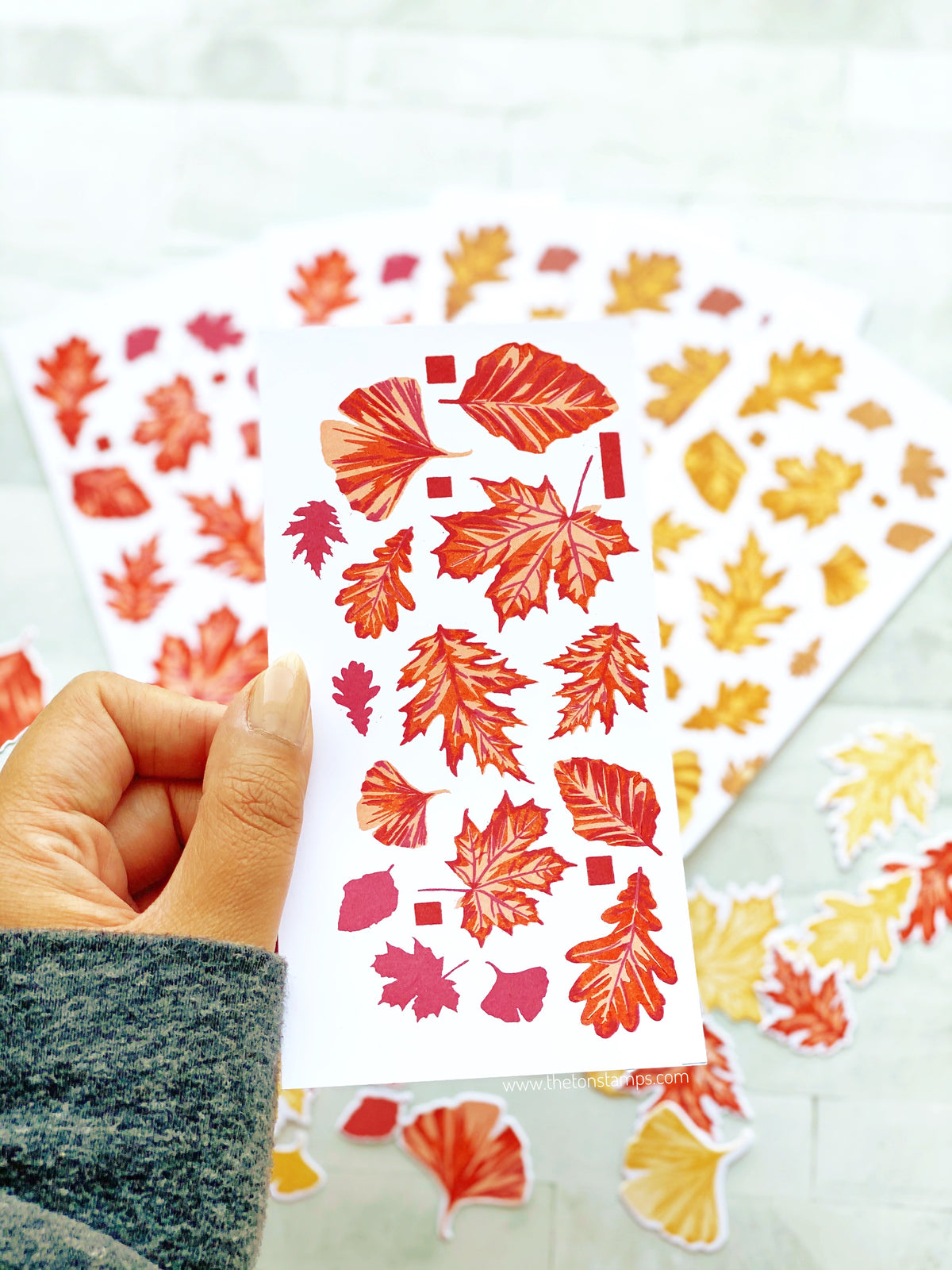 Grouped Autumn Foliage