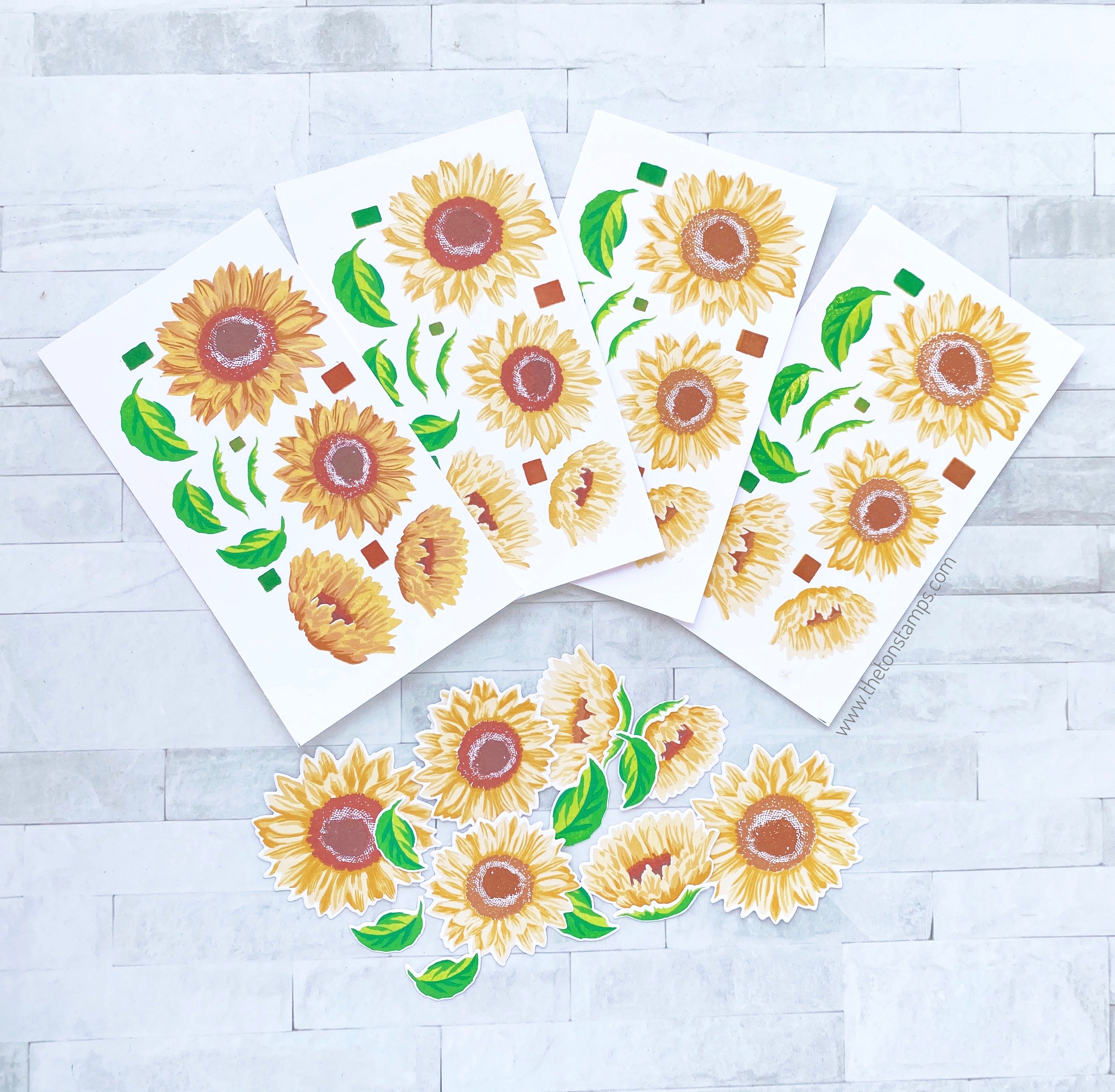 Grouped Fresh Sunflowers