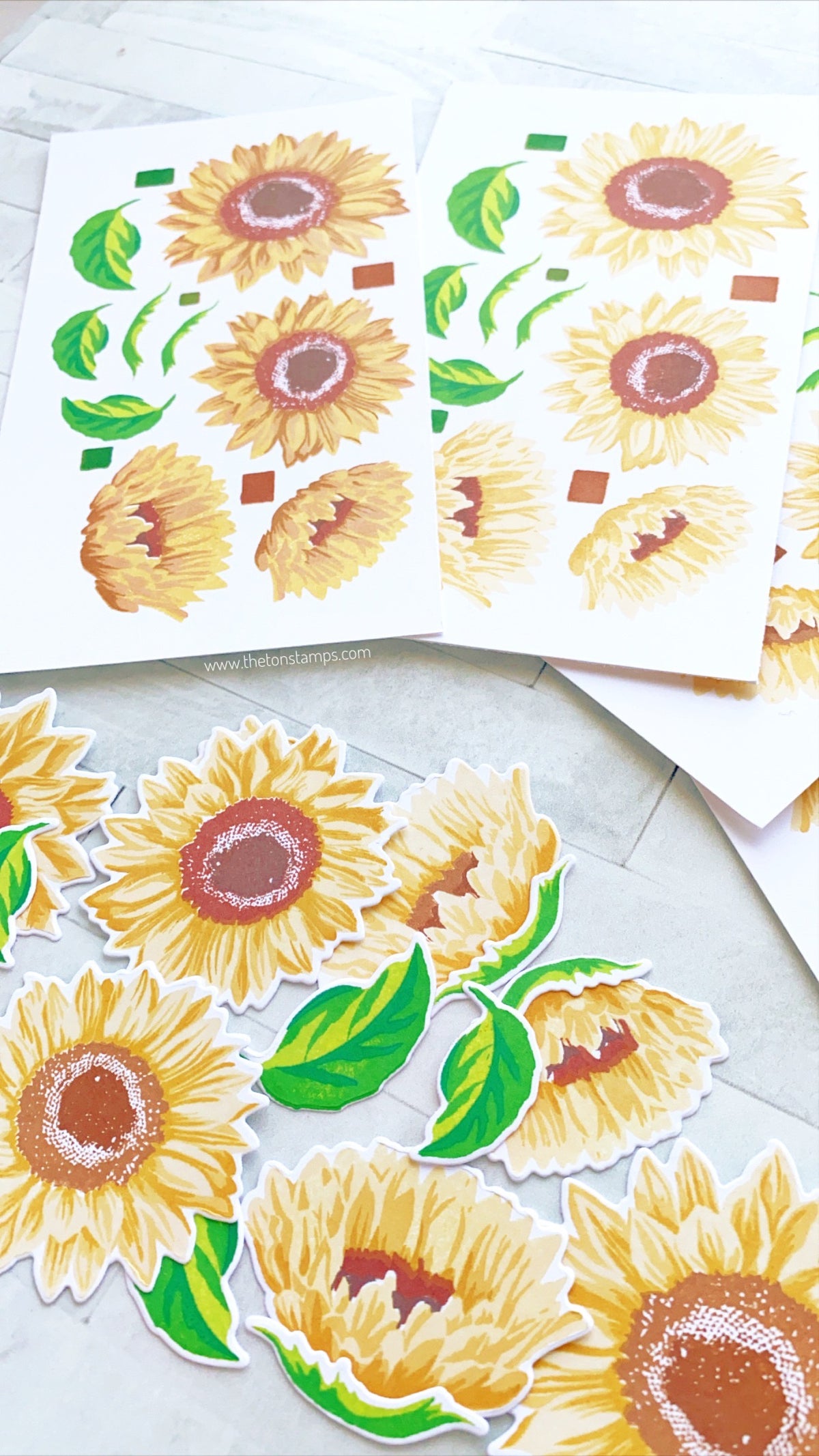 Grouped Fresh Sunflowers