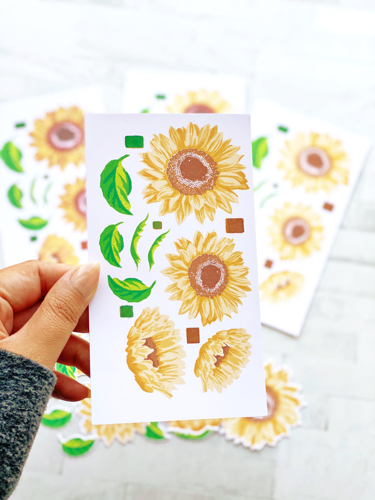 Grouped Fresh Sunflowers