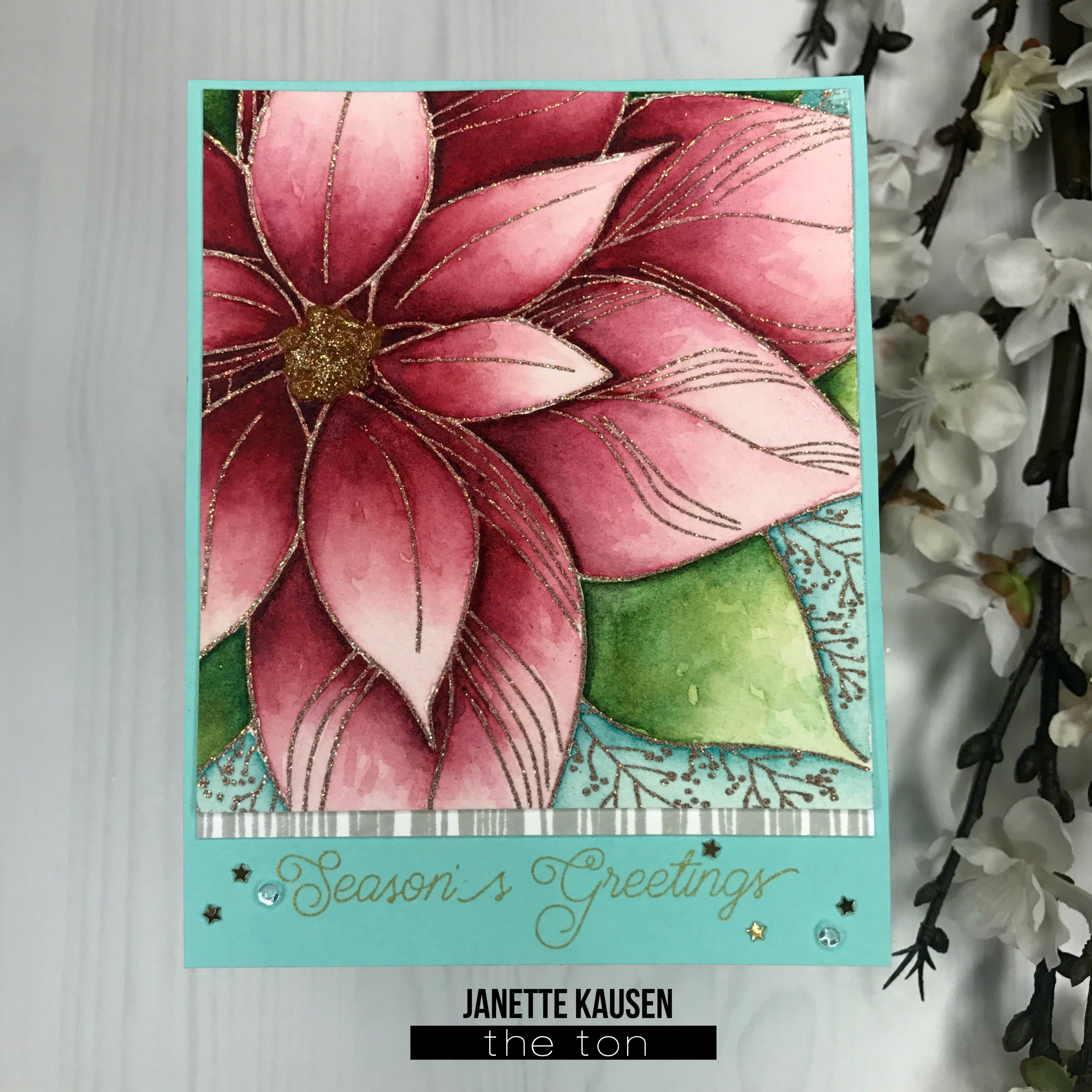 Poinsettia Close Up Background