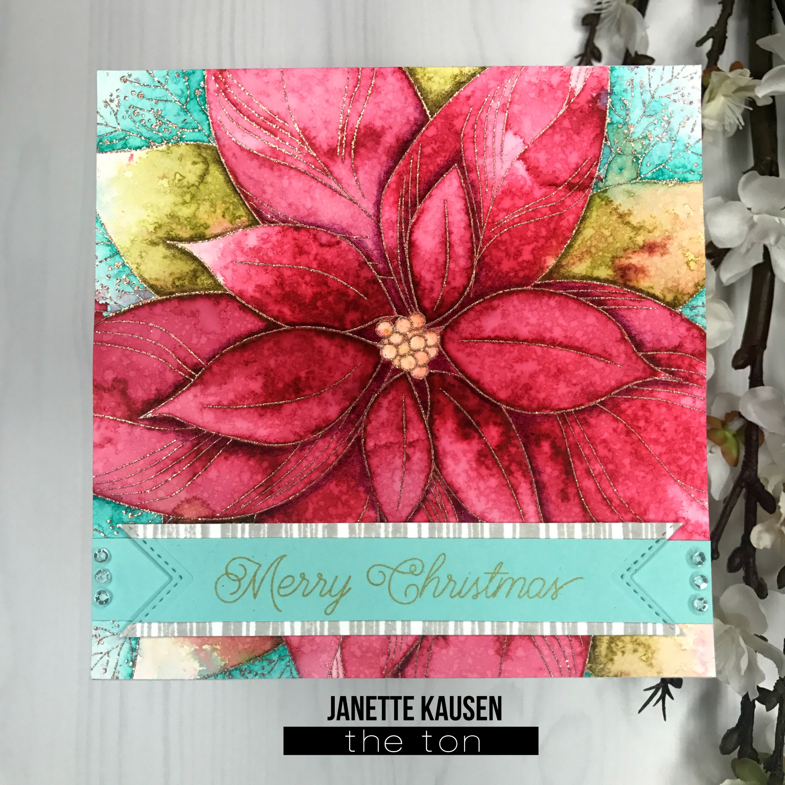 Poinsettia Close Up Background