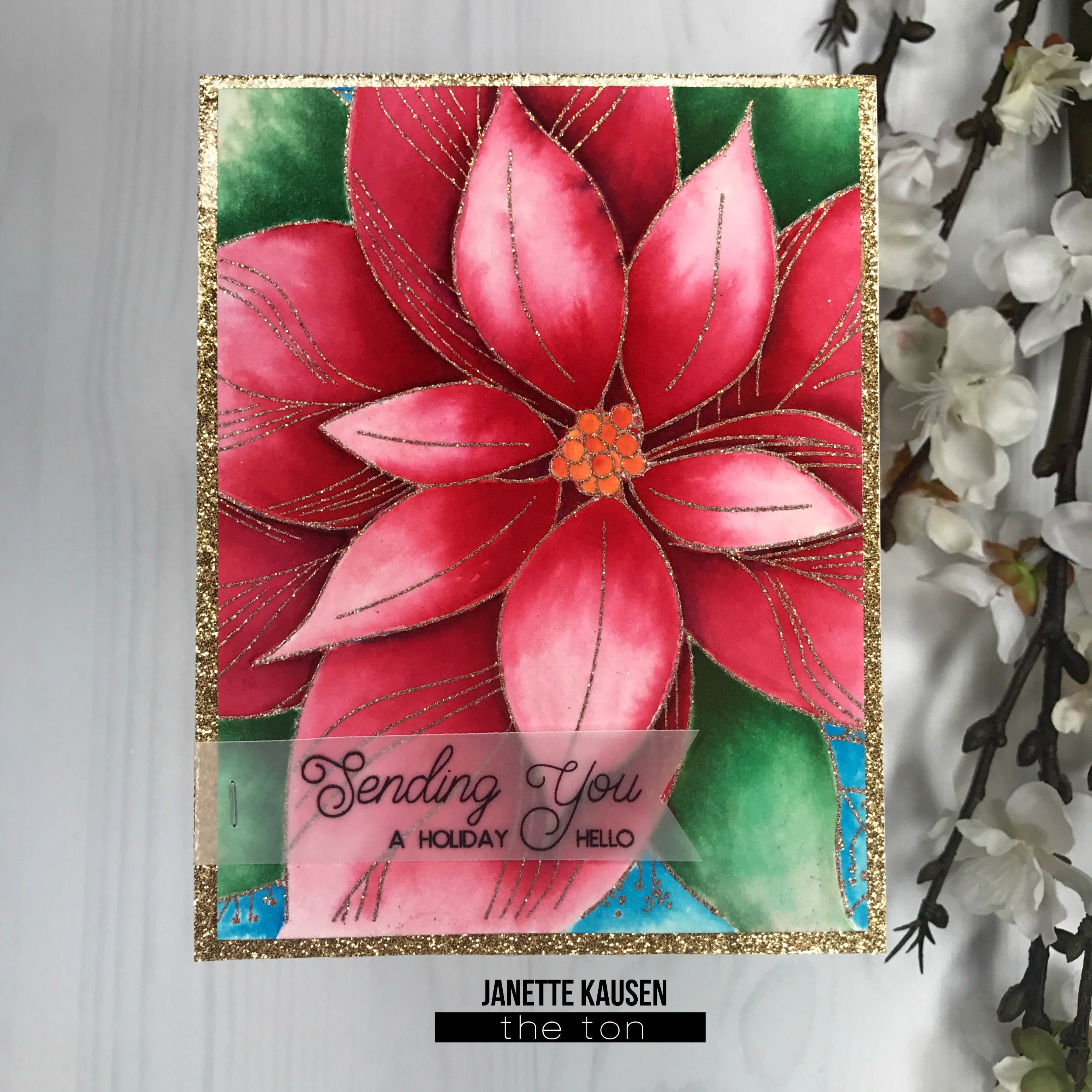 Poinsettia Close Up Background
