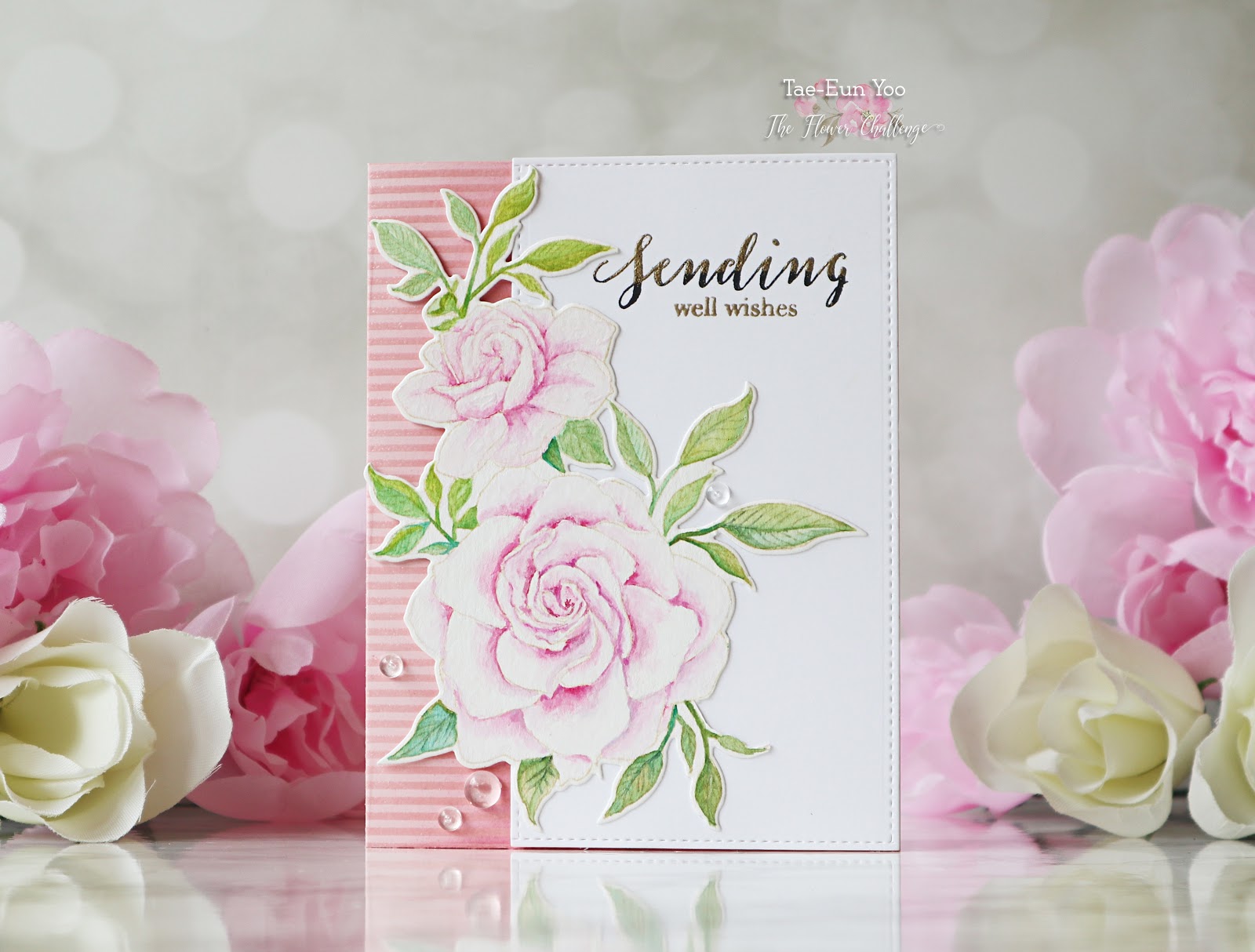 Gardenia Wishes
